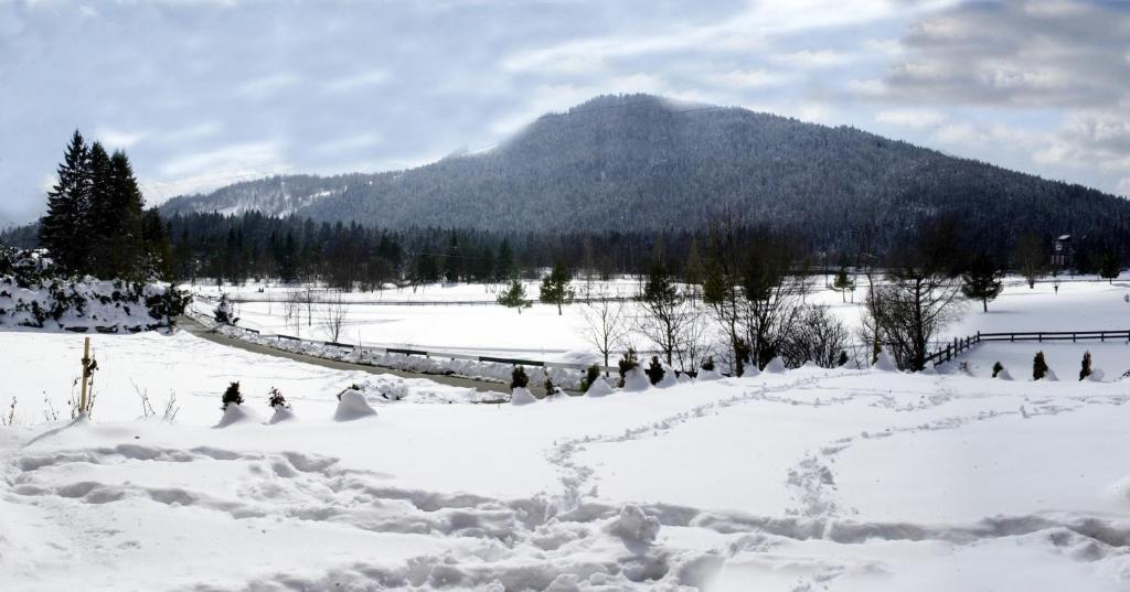 Landhaus Am Golfplatz Seefeld in Tirol Kültér fotó